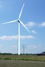 250m hoge WT in verhouding tot een hoogspanningsmast van 50m